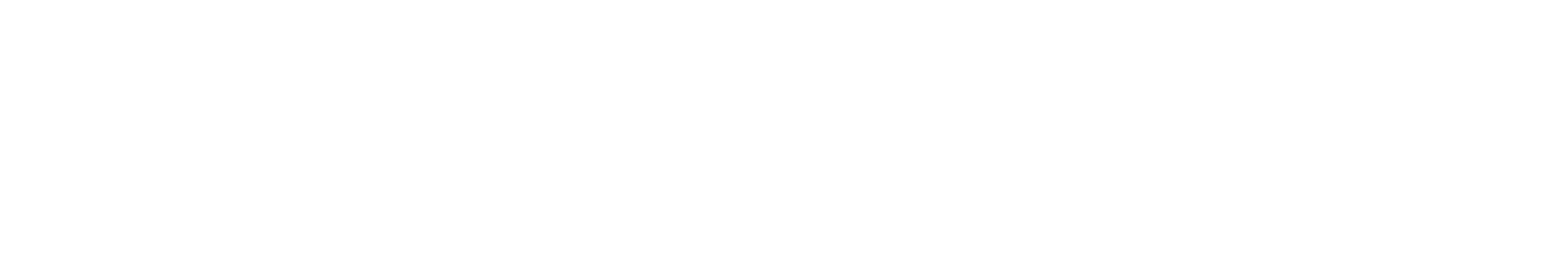 Logo Lehner